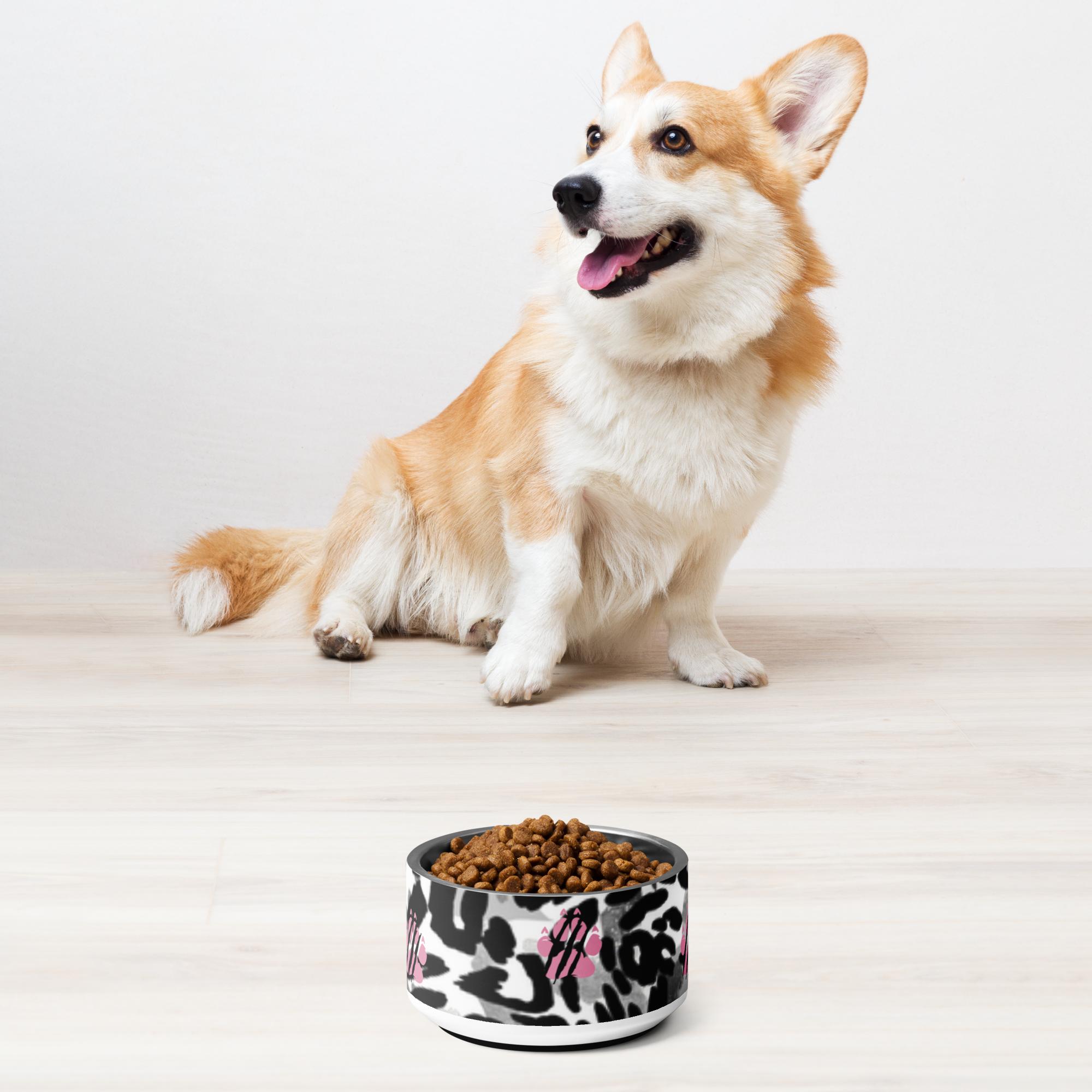 Stylish Pet bowl